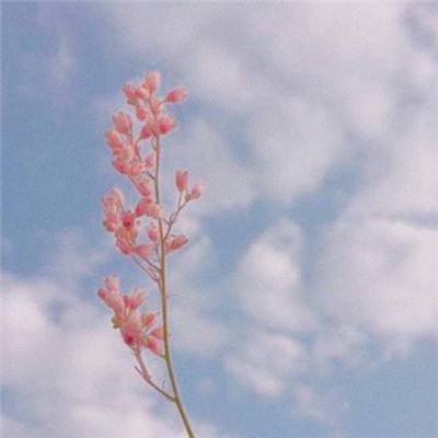浩天奇缘bt版手游下载